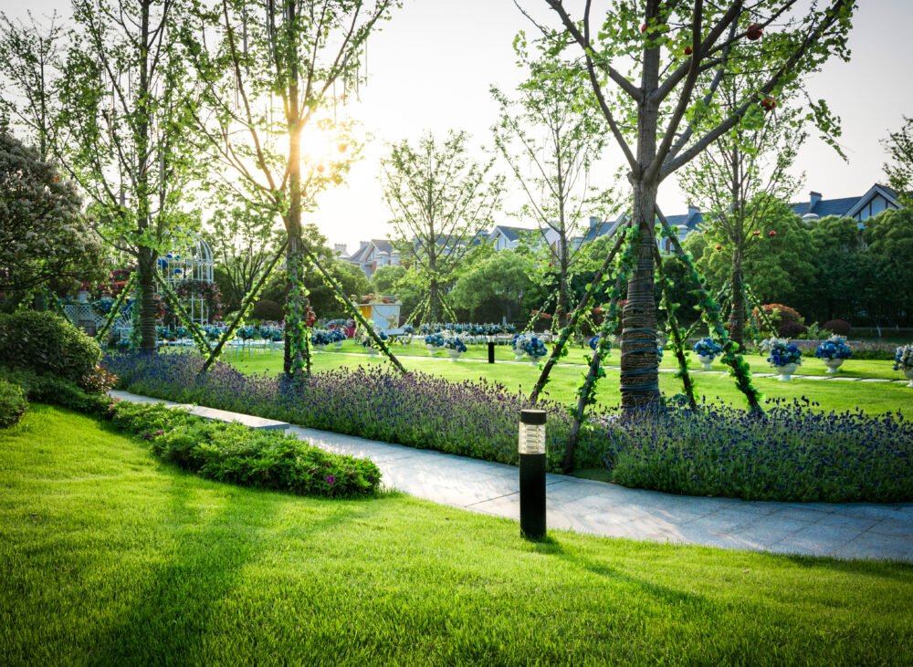 Outdoor Landscaping Chennai